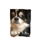 ちょび鉄3（個別スタンプ：7）