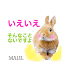 Rabbit MALU3（個別スタンプ：4）
