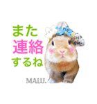Rabbit MALU3（個別スタンプ：7）