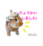 Rabbit MALU3（個別スタンプ：8）