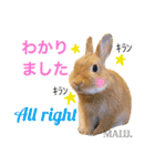 Rabbit MALU3（個別スタンプ：9）