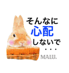 Rabbit MALU3（個別スタンプ：14）