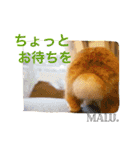 Rabbit MALU3（個別スタンプ：18）