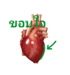 Rao Ma Sa Bud A-WAI-YA-WA（個別スタンプ：5）