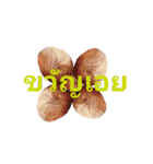 Rao Ma Sa Bud A-WAI-YA-WA（個別スタンプ：17）