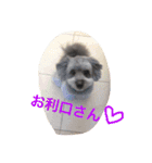 my name is mr.mojo（個別スタンプ：4）