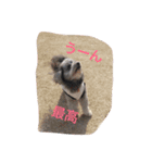 my name is mr.mojo（個別スタンプ：6）