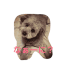 my name is mr.mojo（個別スタンプ：11）