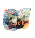 my name is mr.mojo（個別スタンプ：15）