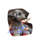 my name is mr.mojo（個別スタンプ：16）