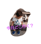 いぶきんぐ（個別スタンプ：3）