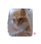 ゆずと仲間たち（個別スタンプ：4）