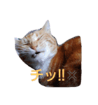 ゆずと仲間たち（個別スタンプ：6）