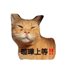 ゆずと仲間たち（個別スタンプ：7）