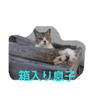 ゆずと仲間たち（個別スタンプ：11）