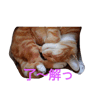 ゆずと仲間たち（個別スタンプ：12）