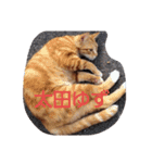 ゆずと仲間たち（個別スタンプ：15）