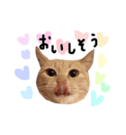 猫の姉妹 ムギチョコ姉妹 Part4（個別スタンプ：3）