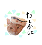 猫の姉妹 ムギチョコ姉妹 Part4（個別スタンプ：15）