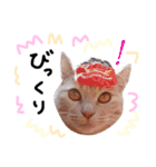 猫の姉妹 ムギチョコ姉妹 Part4（個別スタンプ：23）