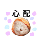 猫の姉妹 ムギチョコ姉妹 Part4（個別スタンプ：27）