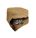 kitty Momo（個別スタンプ：3）
