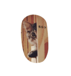 kitty Momo（個別スタンプ：8）