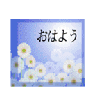 きちんと大人スタンプ～日常風景と共に～（個別スタンプ：17）