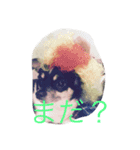 family Matsuda（個別スタンプ：4）