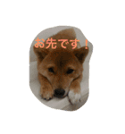 ももの普段（個別スタンプ：2）