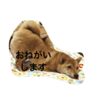 ももの普段（個別スタンプ：8）