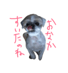 だらだらふぅ（個別スタンプ：2）
