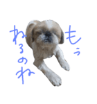 だらだらふぅ（個別スタンプ：6）
