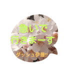 伊藤さん専用桜スタンプ（個別スタンプ：1）