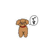 ちょっとめつきが悪いプードル（個別スタンプ：22）