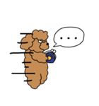 ちょっとめつきが悪いプードル（個別スタンプ：34）