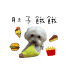 he very cute（個別スタンプ：1）