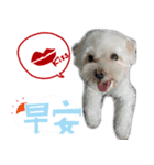 he very cute（個別スタンプ：6）