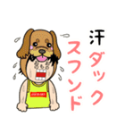 犬のダジャレ言う小野さん小野田小野寺さん（個別スタンプ：8）