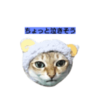 はる パート2（個別スタンプ：14）