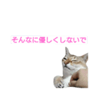 はる パート2（個別スタンプ：15）