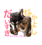うちのちゅちゅこ達♡（個別スタンプ：13）