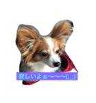 キャンディとミヨン（個別スタンプ：5）