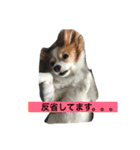 キャンディとミヨン（個別スタンプ：6）