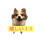 キャンディとミヨン（個別スタンプ：7）