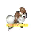 キャンディとミヨン（個別スタンプ：8）