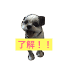 キャンディとミヨン（個別スタンプ：12）