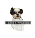 キャンディとミヨン（個別スタンプ：15）