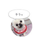 mocochan2（個別スタンプ：3）