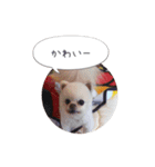 mocochan2（個別スタンプ：5）